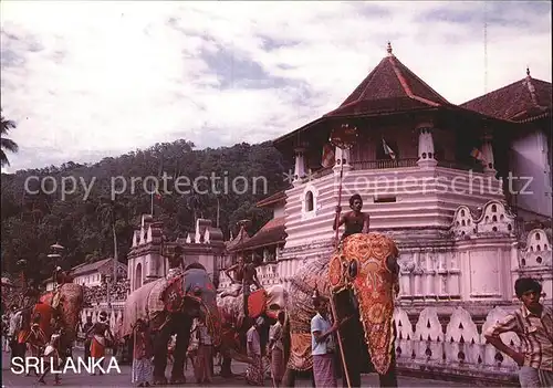 Kandy Sri Lanka Traditional procession held annually in July to August