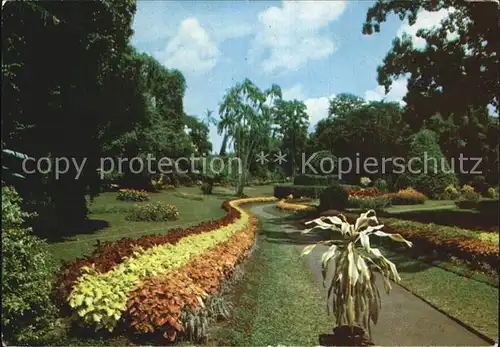 Sri Lanka The Royal Botanic Gardens Kat. Sri Lanka