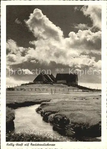 Hallig Nordstrandischmoor Hallig Warft Kat. Nordstrand