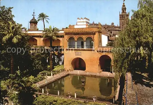 Sevilla Andalucia La Giralda vista desde el Alcazar Kat. Sevilla 