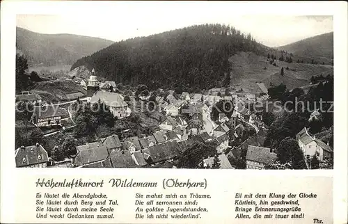 Wildemann Panorama Hoehenluftkurort Gedicht Kat. Wildemann Harz