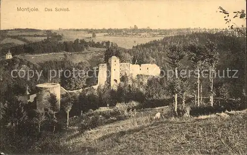 Montjoie Monschau Schloss Ruine Kat. Monschau