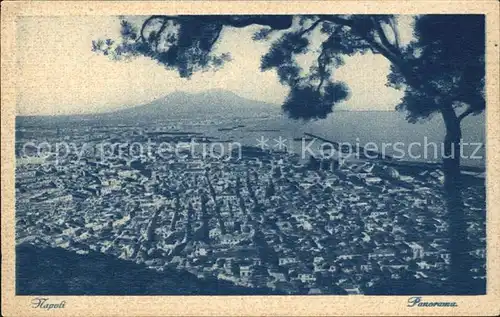 Napoli Neapel Panorama Kat. Napoli