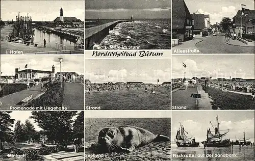 Buesum Nordseebad Hafen Mole Alleestr Promenade Strand Minigolf Seehund Fischkutter auf der Sandbank Kat. Buesum