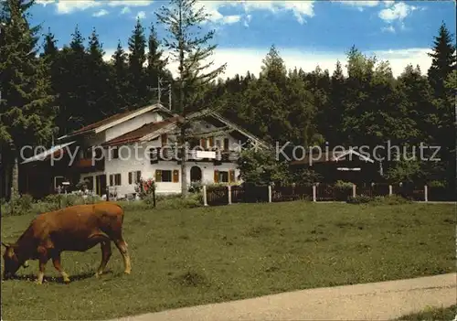 Mittenwald Bayern Gaestehaus Seewinkel Kat. Mittenwald