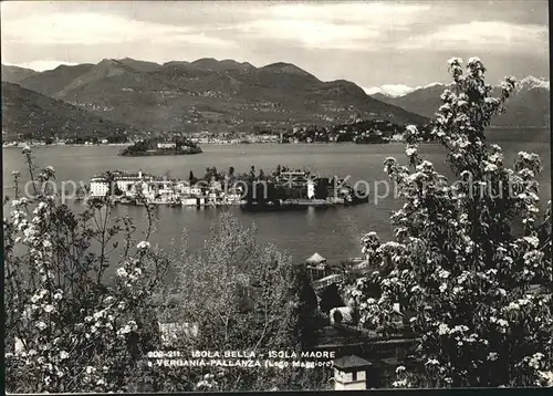 Verbania Pallanza Isola Bella Madre Kat. Verbania