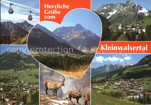 Kleinwalsertal Seilbahn Steinboecke Kat. Oesterreich