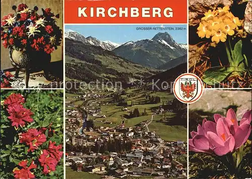 Kirchberg Tirol Fliegeraufnahme Blumen Kat. Kirchberg in Tirol