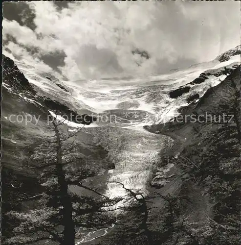Palue Gletscher Blick von Alp Gruem Kat. Palue