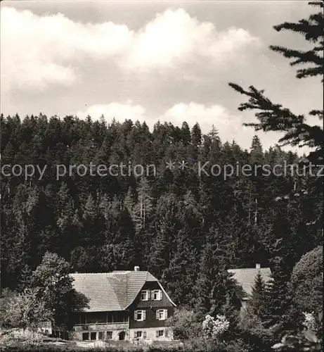 Freudenstadt Walde Pension Jaegerhaeusle Kat. Freudenstadt