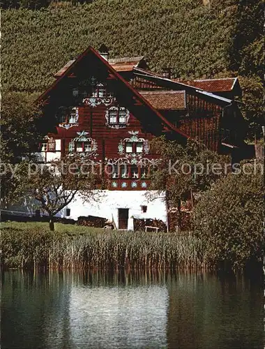 Werdenberg Das Drachenhaus Kat. Werdenberg