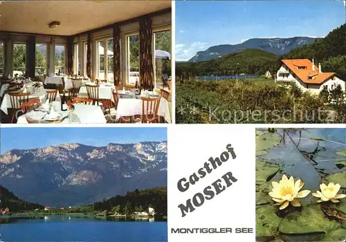 Montiggler See Gasthof Pension Moser Gastraum Seerosen