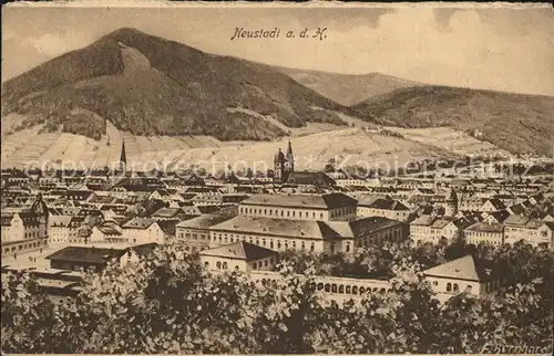 Neustadt Haardt Panorama Kat. Neustadt an der Weinstr.