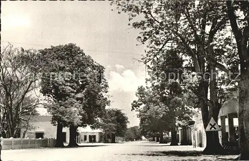 Tschad Tchad Fort Archambault Allee des Kapokiers Kat. Tschad