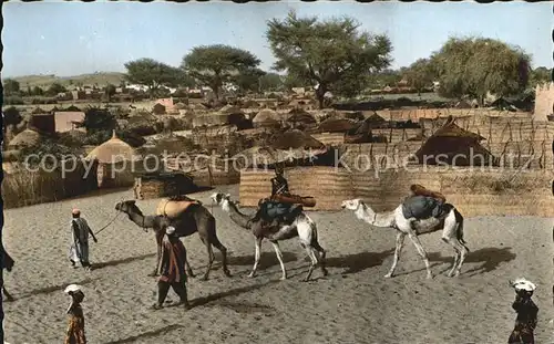 Niger Zinder Kamelkarawane Richtung Markt Kat. Niger