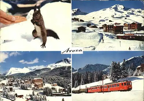 Arosa GR Eichhoernchen Weisshorn Untersee Rhaetische Bahn Winterpanorama Kat. Arosa