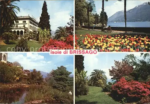Isole di Brissago Villa Teich Park Uferpromenade Lago Maggiore Kat. Isole di Brissago