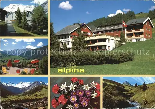 Adelboden Hotel Alpina Landschaft Bach Alpen Blumen Kat. Adelboden