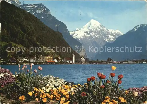 Flueelen UR Blumenpracht am Vierwaldstaettersee Bristenschock Urner Alpen Kat. Flueelen