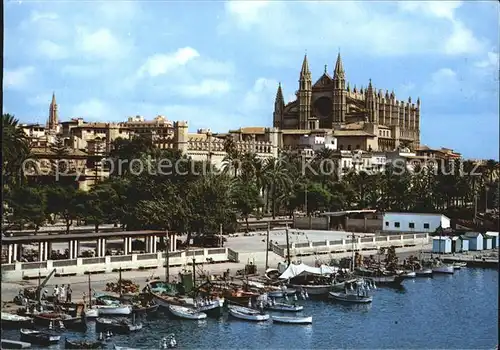 Palma de Mallorca Cathedrale und Hafen Kat. Palma de Mallorca