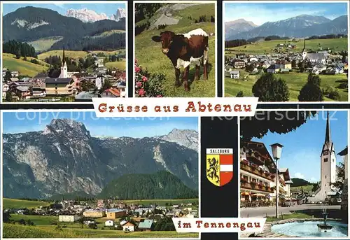 Abtenau im Tennengau Kat. Abtenau