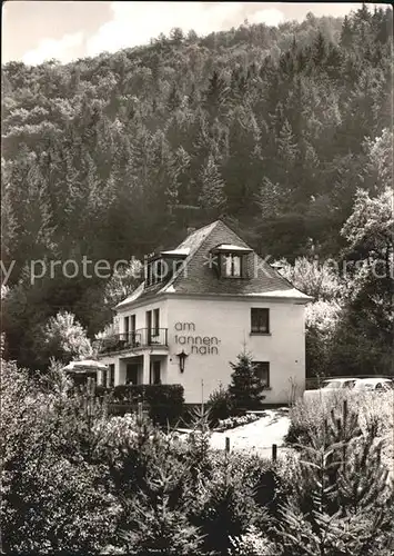 Bad Bertrich Haus am Tannenhain Kat. Bad Bertrich