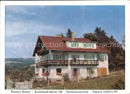 Krumbach Niederoesterreich Pension Holzer Kat. Krumbach