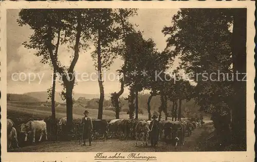 Finsterbergen Bad Kuhherde Kat. Finsterbergen Thueringer Wald