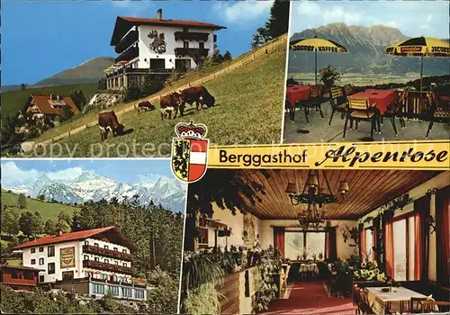 St Koloman Berggasthof Alpenrose Viehweide Kuehe Alpenblick Kat. Oesterreich