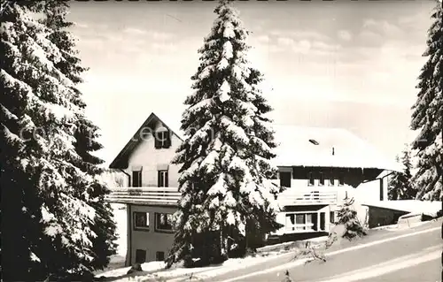 Feldberg Schwarzwald Gasthaus Pension Auerhahn Kat. Feldberg (Schwarzwald)