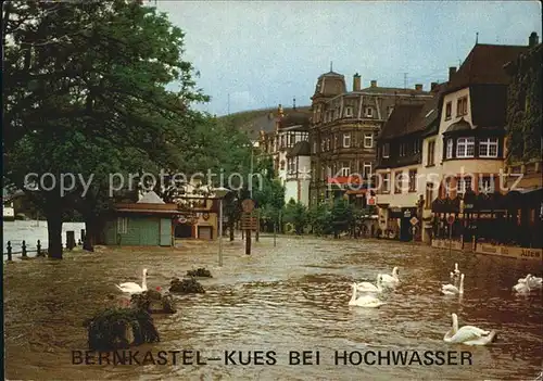 Bernkastel Kues bei Hochwasser Moselufer Schwaene Kat. Bernkastel Kues