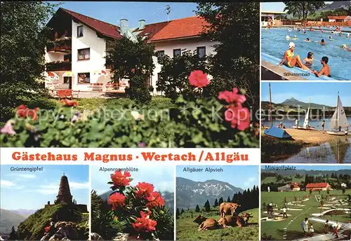 Wertach Gaestehaus Magnus Schwimmbad Minigolf Allgaeuer Alpvieh Alpenrose Gruentengipfel Kat. Wertach