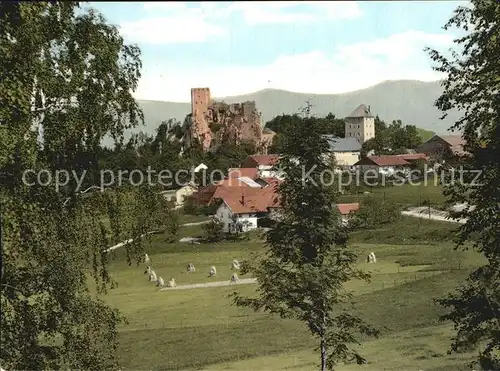 Weissenstein Regen Ortsansicht mit Burgruine Burgberg Pfahl Kat. Regen