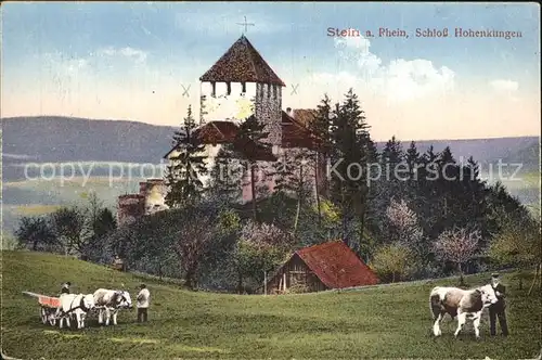 Stein Rhein Schloss Hohenklingen Kat. Stein Rhein