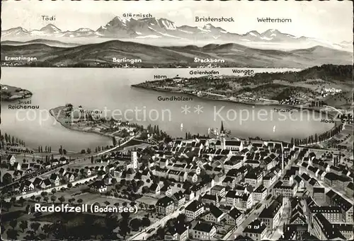 Radolfzell Bodensee Panoramakarte mit See und Alpen Kat. Radolfzell am Bodensee