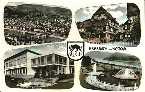 Eberbach Neckar Total Hof Kurhaus Kuranlage Wasserspiele Kat. Eberbach