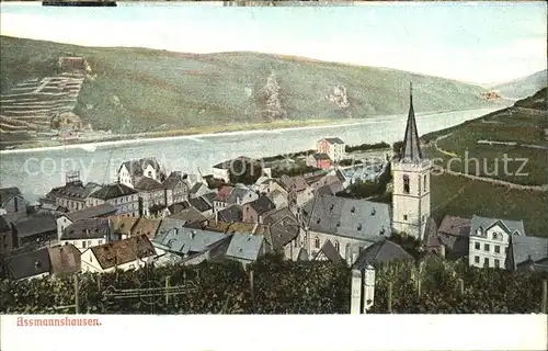 Assmannshausen Panorama / Ruedesheim am Rhein /