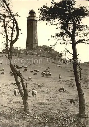 Insel Hiddensee Leuchtturm am Dornbusch Kat. Insel Hiddensee