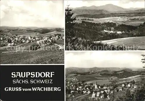 Saupsdorf Panorama Wachberg Kat. Kirnitzschtal