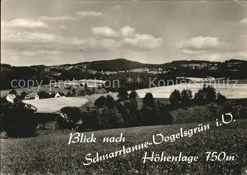 Vogelsgruen Schnarrtanne Panorama Blick von Auerbach Brunn Kat. Auerbach