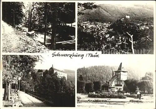 Schwarzburg Thueringer Wald Teilansichten Waldpartie Kat. Schwarzburg