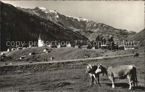 Urnerboden Klausenstrasse mit Claridenkette Kuehe Kat. Urnerboden