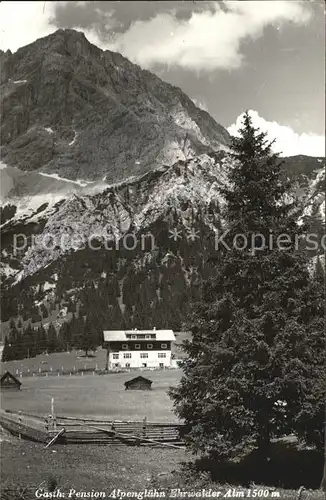 Ehrwald Tirol Gasthaus Pension Alpengluehen Ehrwalder Alm / Ehrwald /