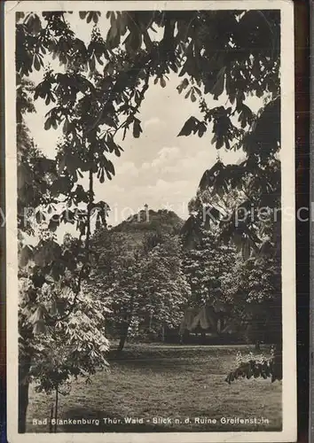 Bad Blankenburg Blick zur Ruine Greifenstein Kat. Bad Blankenburg