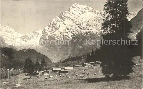 Maderanertal Stoessialp und Duessistock Kat. Silenen