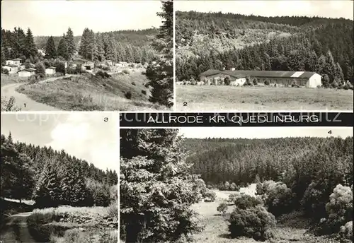 Allrode Bungalow Siedlung Ferienheim Hermann Duncker Luppbodetal  Kat. Allrode