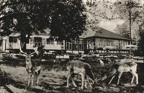 Braunfels Forsthaus im Tiergarten Ausflugslokal Kat. Braunfels