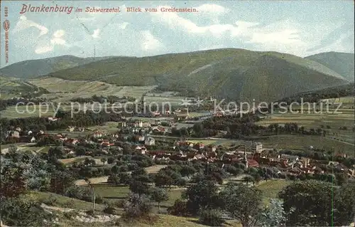 Bad Blankenburg Schwarztal Blick vom Greifenstein Kat. Bad Blankenburg