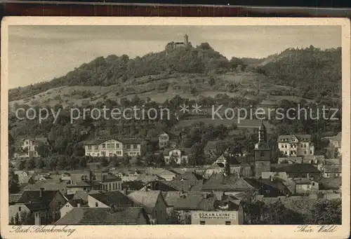 Bad Blankenburg Panorama Ruine Greifenstein Kat. Bad Blankenburg