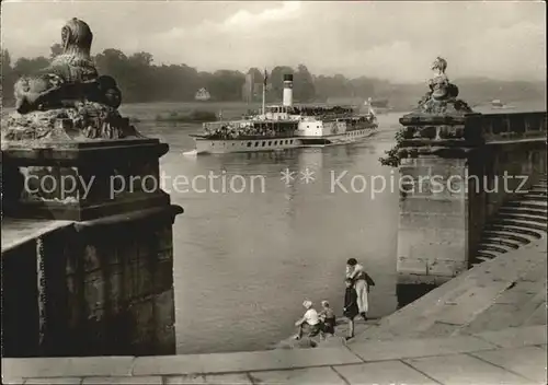 Pillnitz Freitreppe Ausflugsdampfer Kat. Dresden